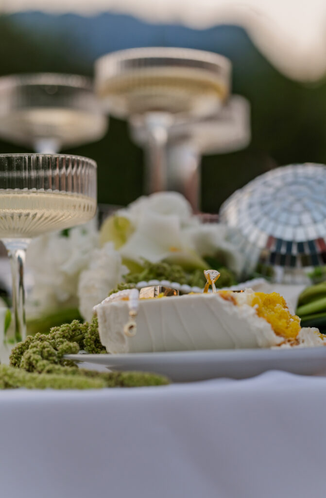 Wedding detail shoot of wedding cake, necklace, elopement details, Champagne and rings in the cake.