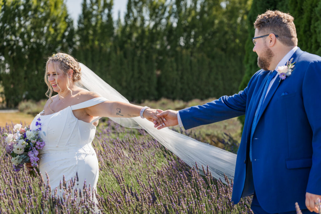 Full bloom lavender at Langley BC wedding couple walking through the lavender bushes. 
