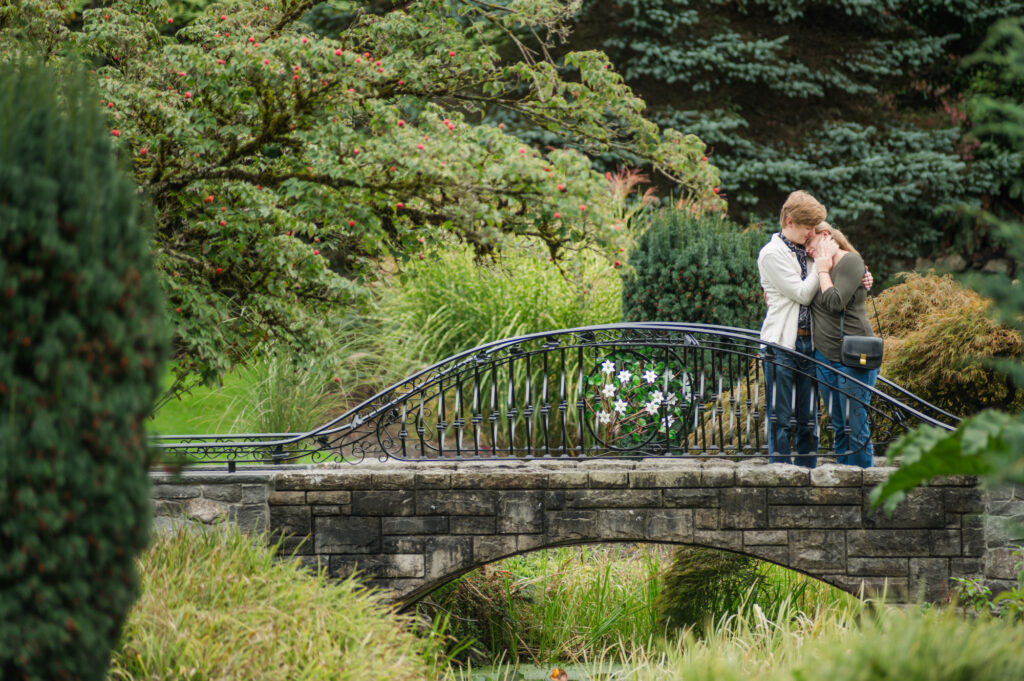 Queen Elizabeth Park Proposal on the Bridge.